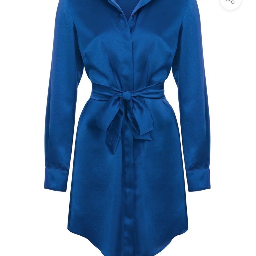 Elegant Silk L/S Shirt Dress
